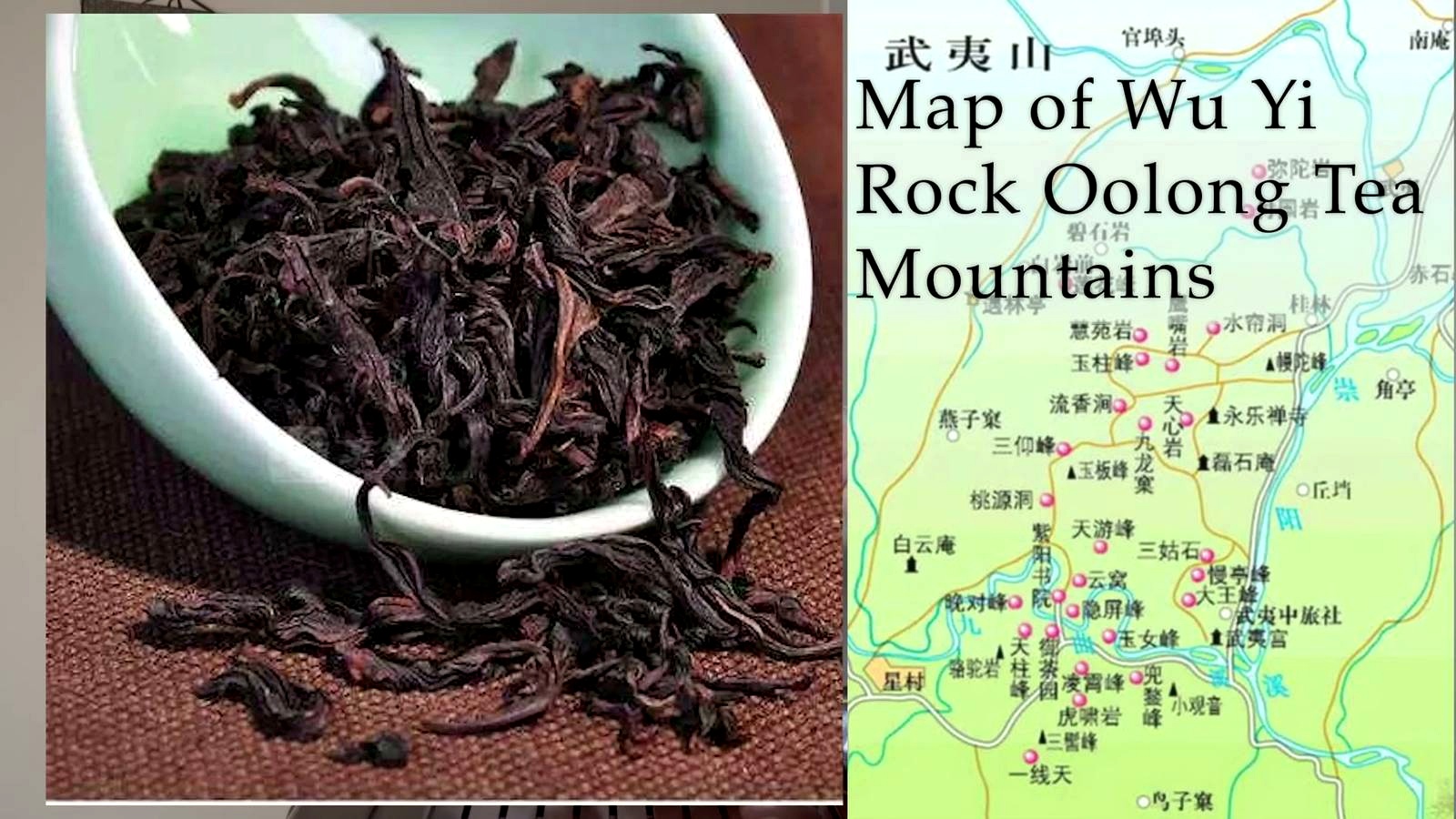 Oolong Tea discussed in the video